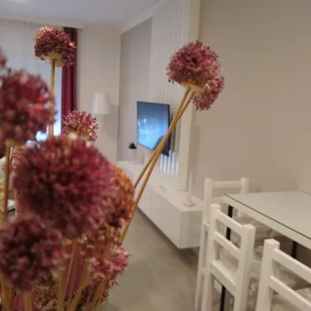 Katja 特雷比涅